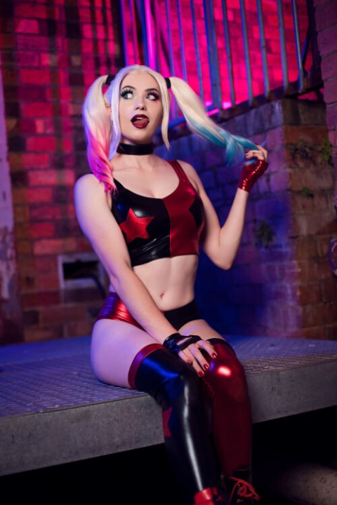 Nichameleon_Harley_Quinn_148bcf1250f0176c5a.jpg