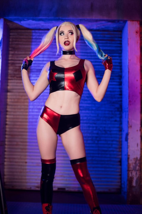 Nichameleon_Harley_Quinn_8e37367f41dabd259.jpg