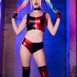 Nichameleon_Harley_Quinn_8e37367f41dabd259