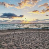 grittylife_0068_400px