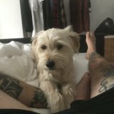 male-feet-uk-12-1080px