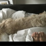 male-feet-uk-16-1080px