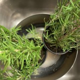 malloypanda-24-1080px