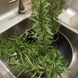 malloypanda-25-1080px