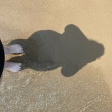 mossyoak235-12-1080px