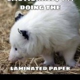 mynamesnotseven-1-162-1080px