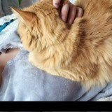 Yourbluehairedwaifu-Nude-11