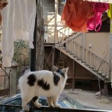 Youreyeshere-Nude-24