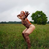 264870e1c9ede5a439502d40205a6f98