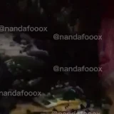 1pcdC-mERfQ2QNmGfSqWp73lxe5m_ul_N