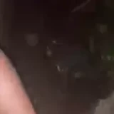 17qklS110ZLGhS6x7a1KKm_jSC_FLSbYO