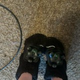 Anabellejoy-joy.annabelle_15