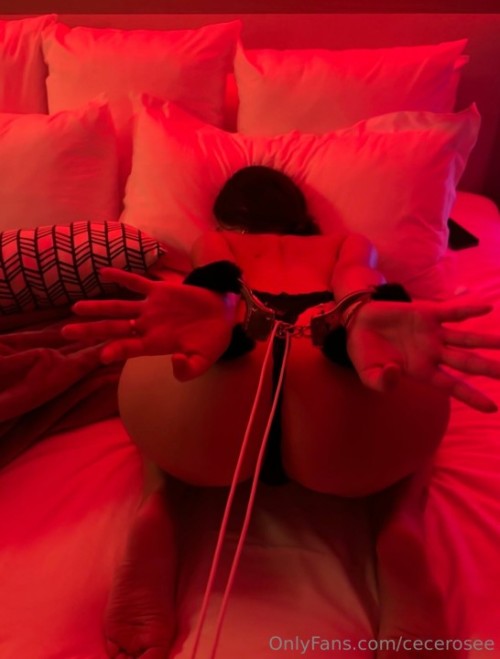 cecerosee-13.jpg
