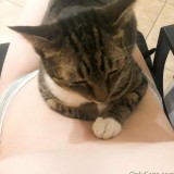 Brattygatita-okgatti_36